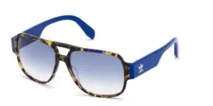 Adidas Originals Sunglasses OR0006 55W