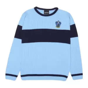 Harry Potter Mens Ravenclaw Quidditch Knitted Jumper (5XL) (Blue/Navy)
