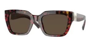 Valentino Sunglasses VA4097 518973