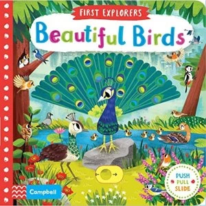 Beautiful Birds Board book 2019