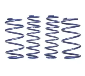 H&R Suspension Kit, coil springs Performance Lowering Springs Rear Axle 29333-2 VW,SEAT,POLO (9N_),Fox Schragheck (5Z1, 5Z3, 5Z4)