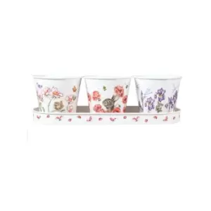 Wrendale Designs - Floral Herb Pots Set of 3 With Tray