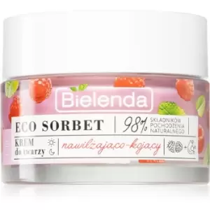 Bielenda Eco Sorbet Raspberry Moisturizing & Soothing Face Cream