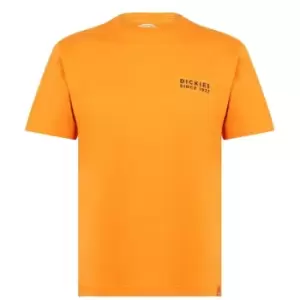 DICKIES Pacific T Shirt - Orange