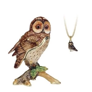 Secrets from Hidden Treasures Tawny Owl