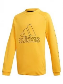 Adidas Boys Training Sweat Crew - Yellow