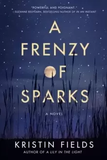 A Frenzy of Sparks : A Novel