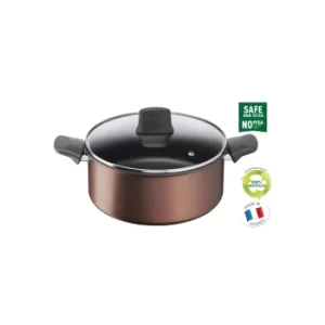 Tefal Resource Induction Stewpot with Glass Lid