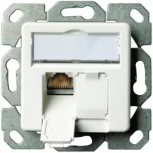 Telegaertner Network outlet Flush mount Insert with main panel CAT 6 2 ports Alpine white