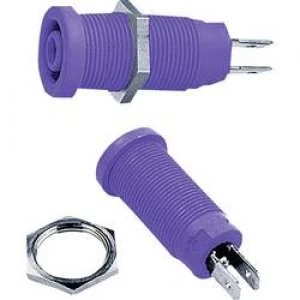 Safety jack socket Socket vertical vertical Pin diameter 4mm Violet
