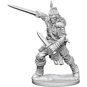 Pathfinder Deep Cuts Unpainted Miniatures (W1) Human Male Fighter