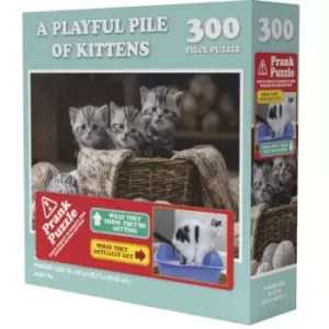 Doing Things Cats Prank 300 Piece Jigsaw Puzzle