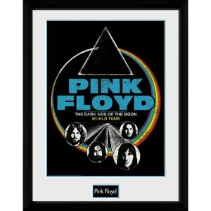 Pink Floyd Dsom World Tour Collector Print
