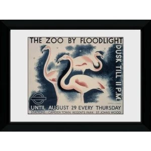 Transport For London The Zoo By Floodlight 50 x 70 Framed Collector Print