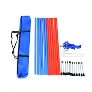 PawHut Pet Agility Set 12x Steel Stakes, 2x Spikes, 1x String. Blue, Red