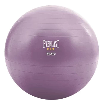 Everlast Stability Ball - Purple