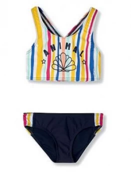 Animal Girls Spectrum Stripe Bikini Set - Multi