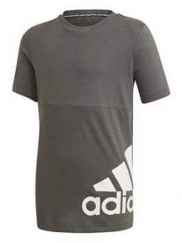 adidas Boys Must Have Badge Of Sport T-Shirt - Khaki, Size 9-10 Years