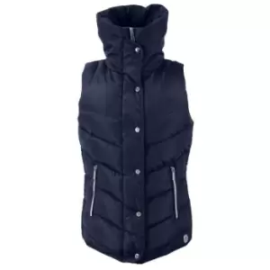 Coldstream Womens/Ladies Kimmerston Quilted Gilet (XL) (Navy)