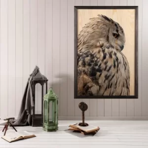 Owl Multicolor Decorative Framed Wooden Painting