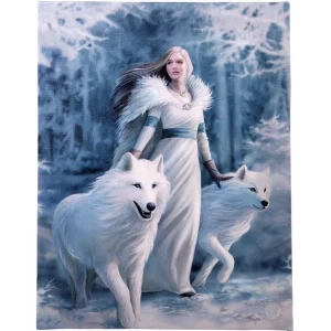 Small Winter Guardian Canvas Picture by Anne Stokes