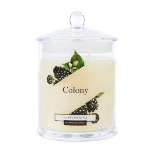 Wax Lyrical Colony Berry Picking Medium Candle Jar