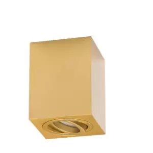 Larissa Dimovo Surface Mounted Ceiling Lamp Downlight Spot Surface Mounted Ceiling Squared 1x GU10 Gold