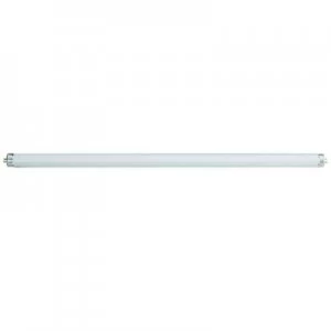 OSRAM Fluorescent tube EEC: A (A++ - E) G13 36 W Warm white Tube shape (Ø x L) 26mm x 1200 mm