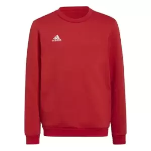 adidas ENT22 Sweater Juniors - Red