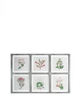 Arthouse Botanical Multi Aperature Framed Print