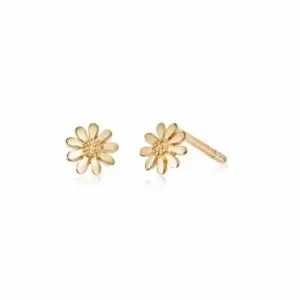 Daisy London Jewellery 925 Sterling Silver and 18ct Gold Plate Marguerite Daisy Stud Earrings 18ct Gold Plate