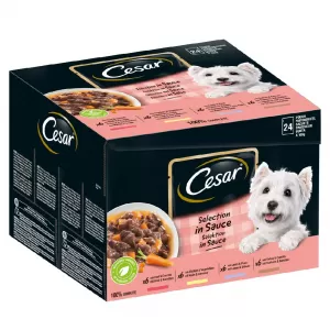 Cesar Pouch Dog Food Favourites in Sauce 24 x 100g