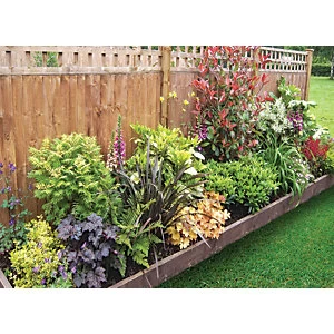 Garden On A Roll Mixed Shady Border Pack 6m x 90cm Plants - wilko