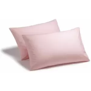 Charlotte Thomas Poetry Plain Dye 144 Thread Count Combed Yarns Pink Housewife Pillowcase Pair