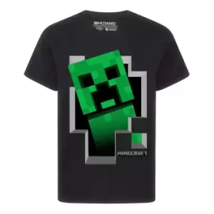Minecraft Boys Creeper Inside T-Shirt (11-12 Years) (Black)