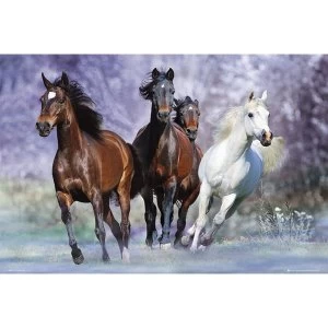 Bob Langrish Running Horses Poster