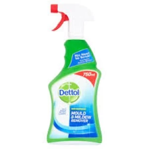 Dettol Mould and Mildew Spray 750ml