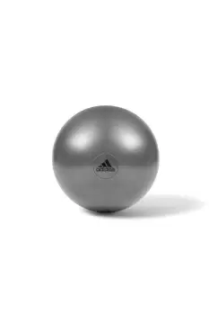 55cm Gym Ball