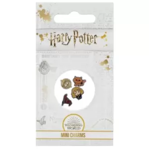 Harry Potter Hermoine Mini Charm Set