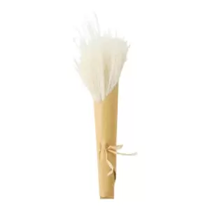 Gallery Interiors Clark Dried Reed Grass Bundle Paper Wrap White / Small