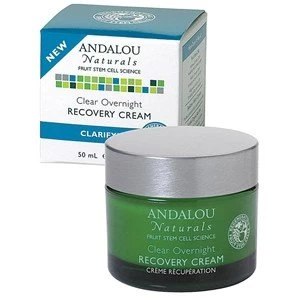 Andalou Naturals Clarifying Clear Overnight Clarifying Recovery Cream 50ml