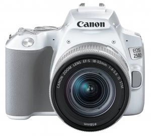 Canon EOS 250D 24.1MP DSLR Camera