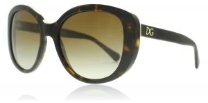 Dolce & Gabbana DG4248 Sunglasses Havana 502/T5 Polariserade 55mm