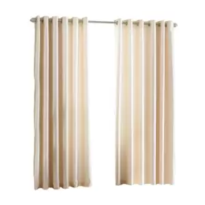Riva Home Fiji Faux Silk Ringtop Curtains (66x54 (168x137cm)) (Cream)