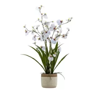 Gallery Interiors Begbie Potted Oncidium Orchid White / Large