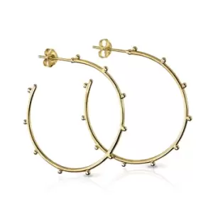Aiyana Anahita Gold Plated Silver Studded Open Hoop Earrings