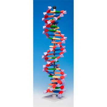 Molymod DNA-060-22 - MiniDNA Advanced 22 Layer Molecular Model Kit...
