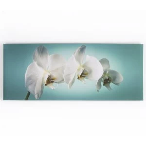 Graham and Brown Teal Orchid Wall Art