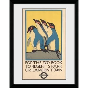 Transport For London Zoo 12" x 16" Framed Collector Print