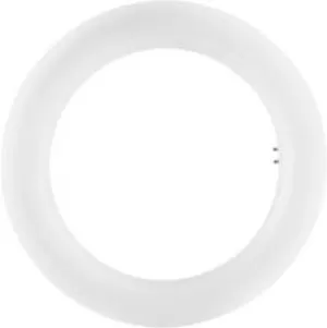 OSRAM 4058075135444 LED (monochrome) EEC A+ (A++ - E) G10q Ring 12 W Cool white (Ø x L) 30 mm x 205mm